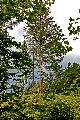 nahe Hausstein bei Frankenfels, Pielachtal